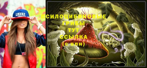 кристаллы Заволжье