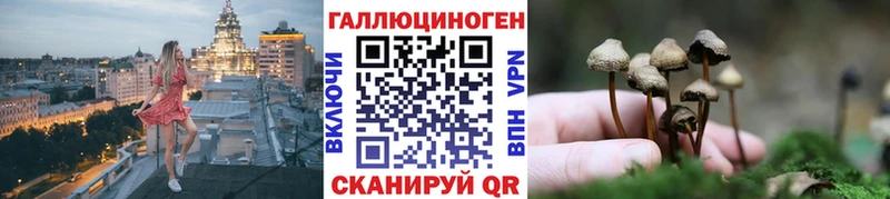 Купить  Губкин  Псилоцибиновые грибы Magic Shrooms 